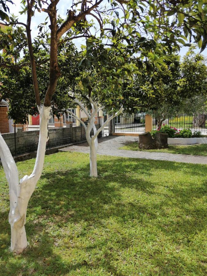 Nikos Apartments 1 Kávos المظهر الخارجي الصورة